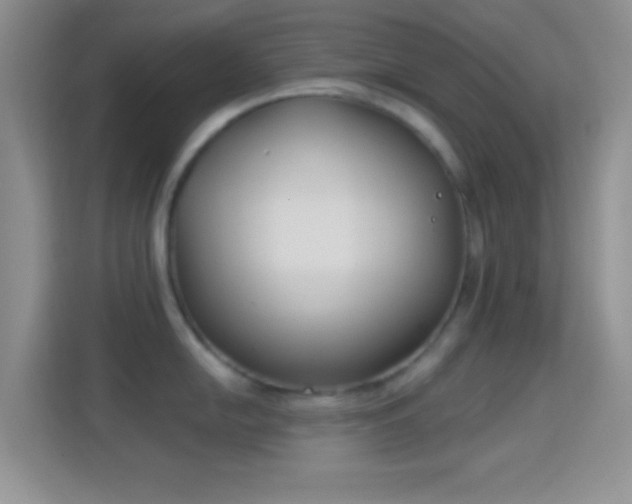 X0000114441054200910231314