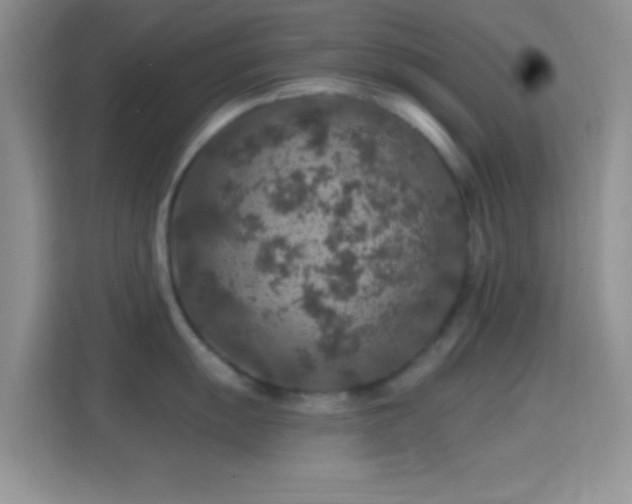 X0000114441055200910231314