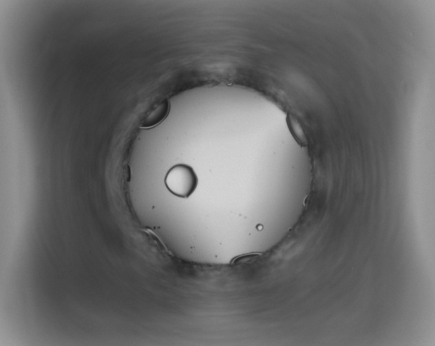 X0000114441057200910231314