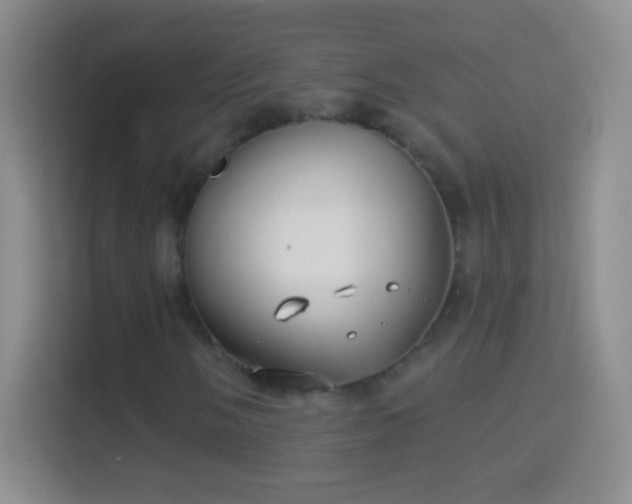 X0000114441058200910231314