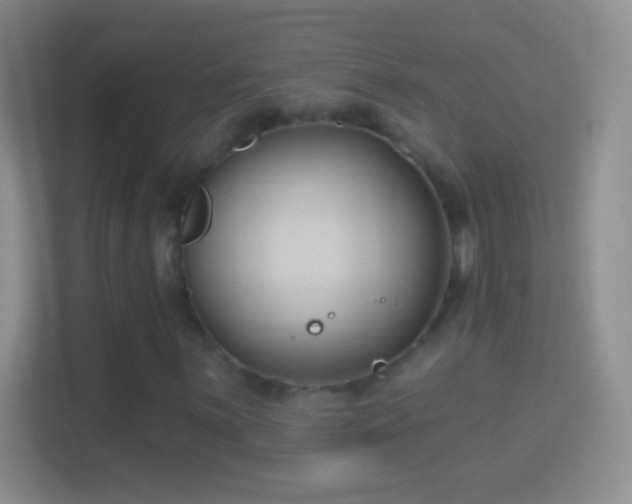 X0000114441059200910231314