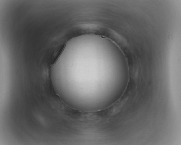 X0000114441061200910231314