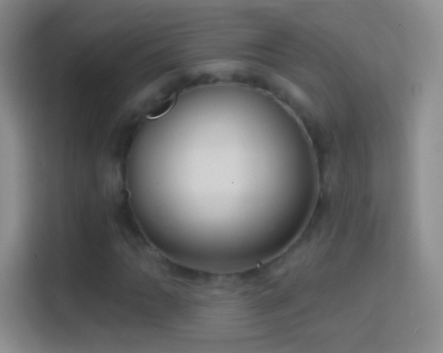 X0000114441062200910231314