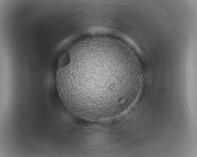 X0000114441063200910231314