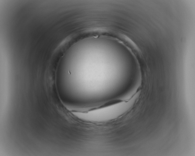 X0000114441064200910231314