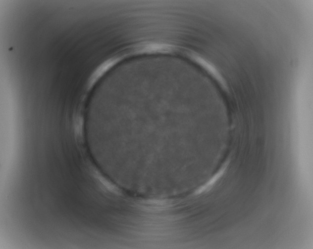 X0000114441066200910231314