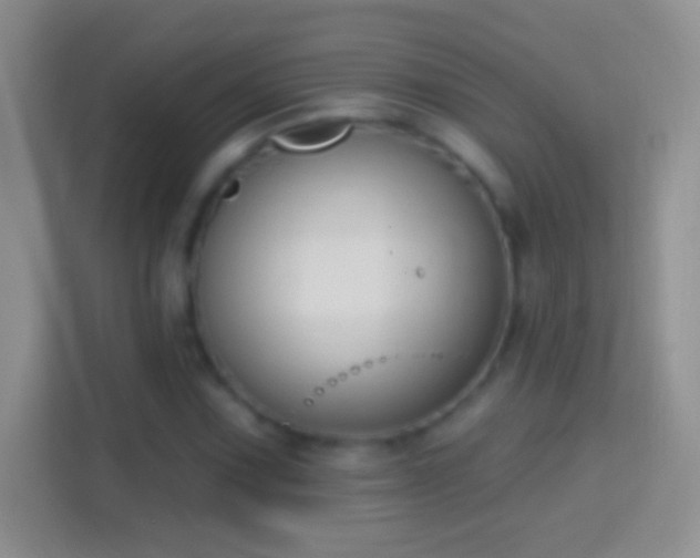 X0000114441067200910231314