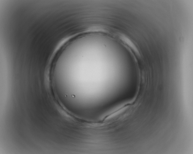 X0000114441068200910231313