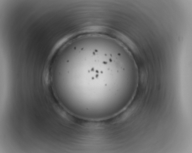 X0000114441069200910231313