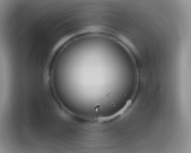 X0000114441070200910231313