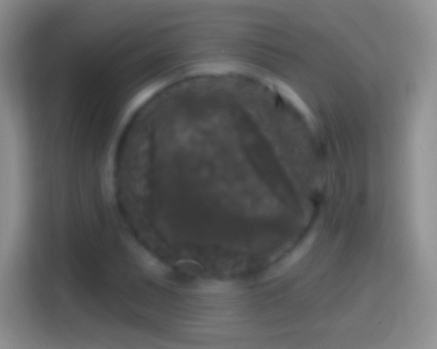 X0000114441071200910231313