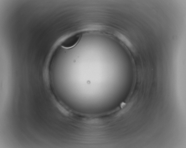 X0000114441072200910231313