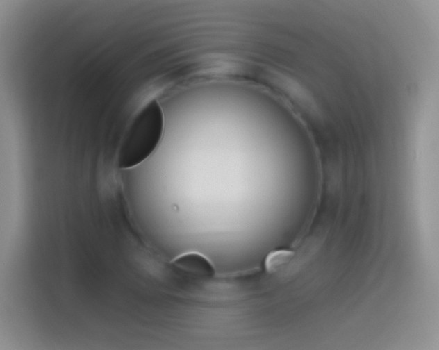 X0000114441073200910231313