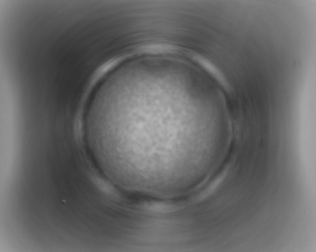 X0000114441074200910231313