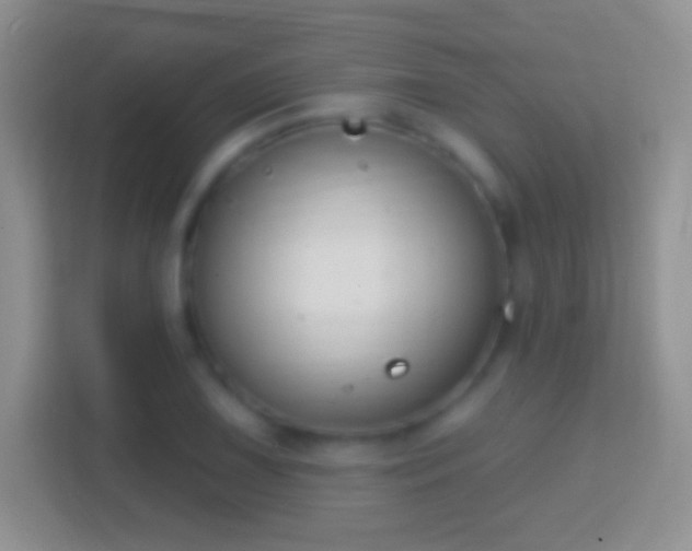 X0000114441075200910231313