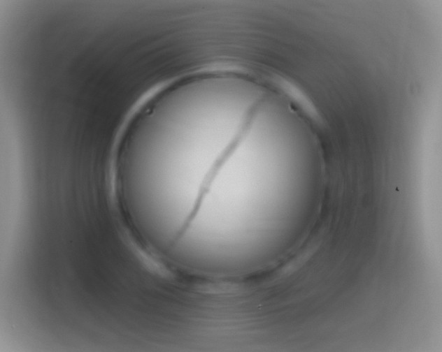 X0000114441076200910231313