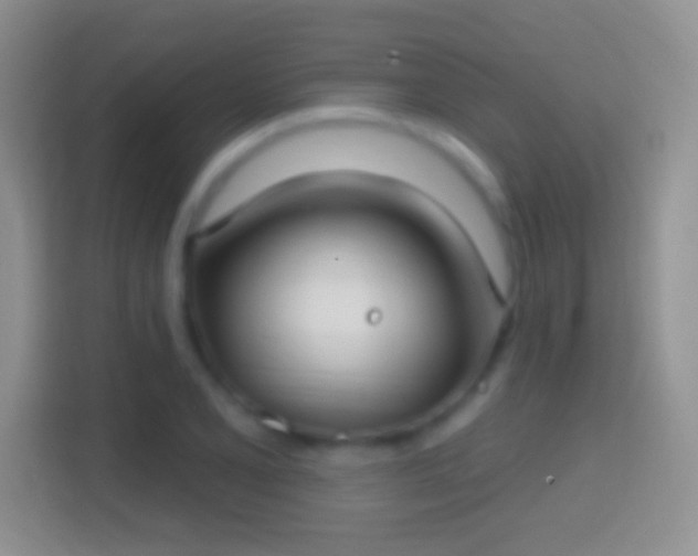 X0000114441077200910231313