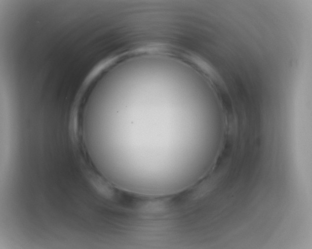 X0000114441078200910231313