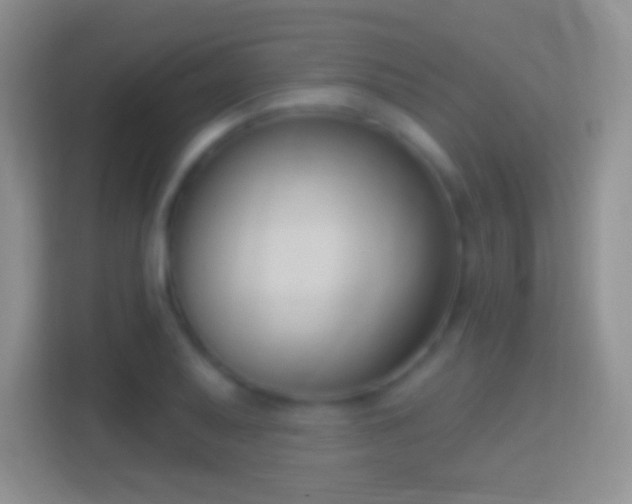 X0000114441079200910231313