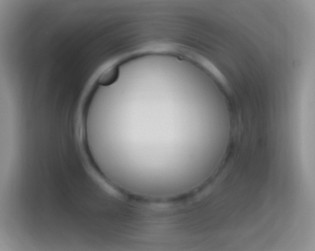 X0000114441080200910231313