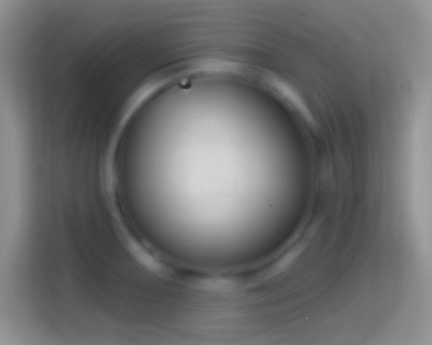 X0000114441082200910231313