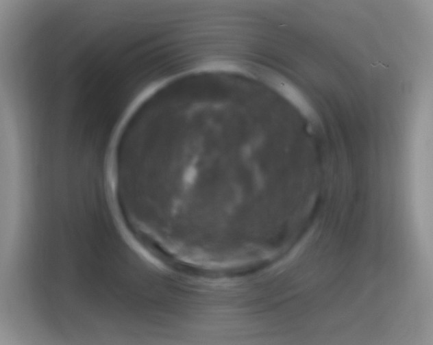 X0000114441084200910231313