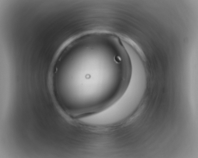 X0000114441085200910231313