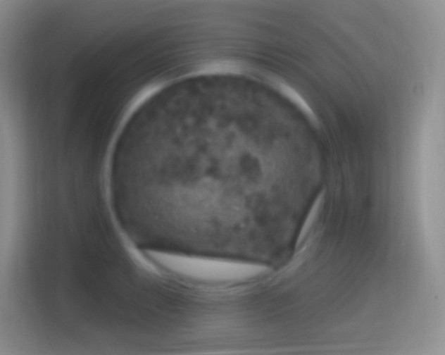 X0000114441087200910231313