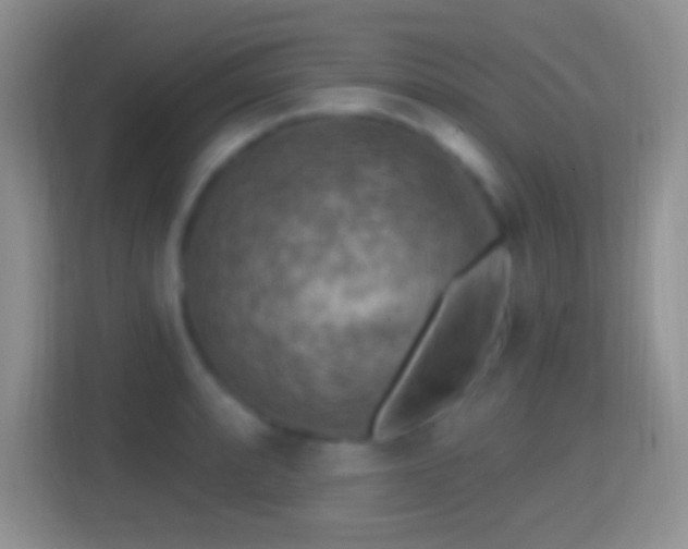 X0000114441088200910231313