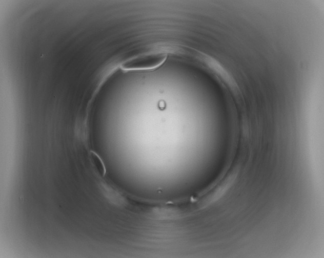 X0000114441089200910231313