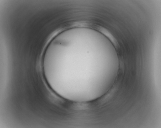 X0000114441090200910231313