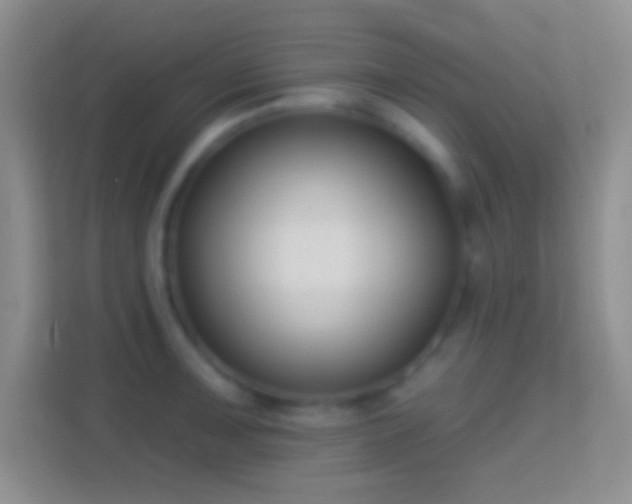 X0000114441091200910231313