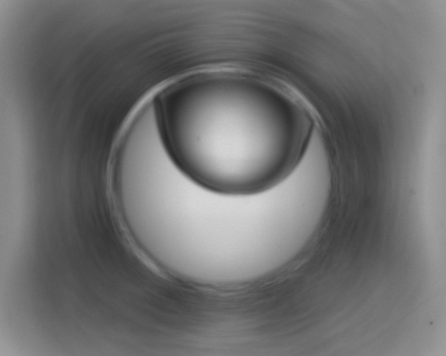 X0000114441092200910231313