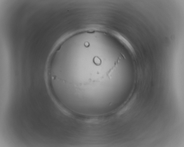 X0000114441093200910231313