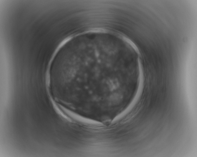 X0000114441095200910231313