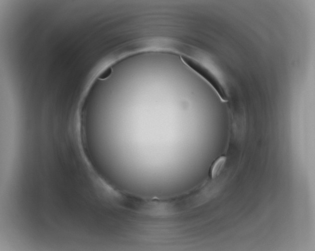 X0000114441096200910231313