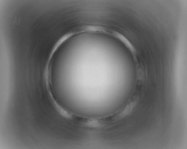 X0000114441098200910231313