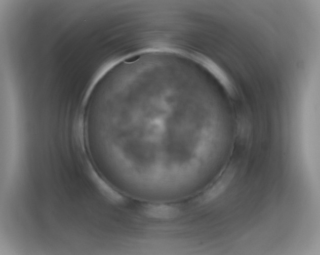 X0000114441100200910231313