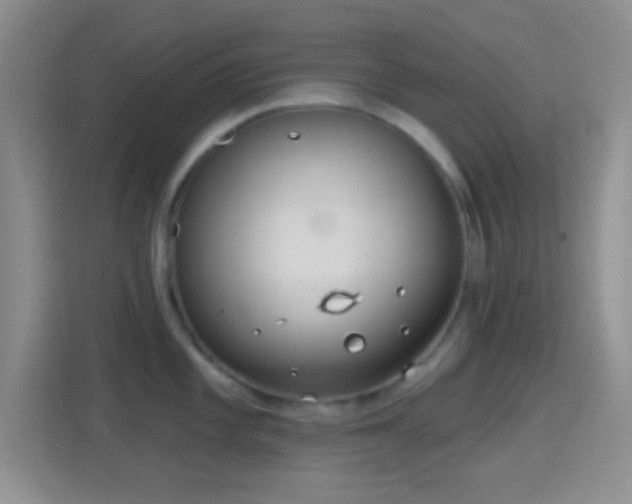 X0000114441101200910231313