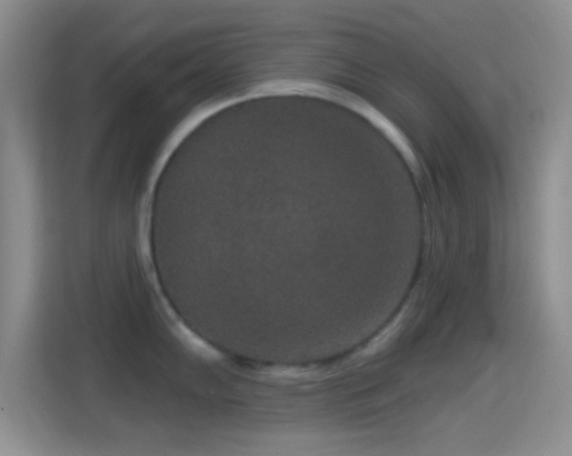 X0000114441102200910231313