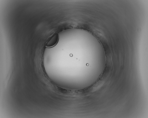 X0000114441105200910231312