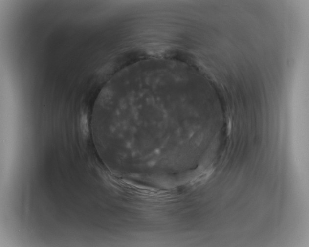 X0000114441106200910231312