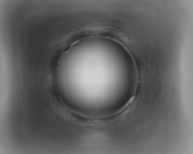 X0000114441109200910231312