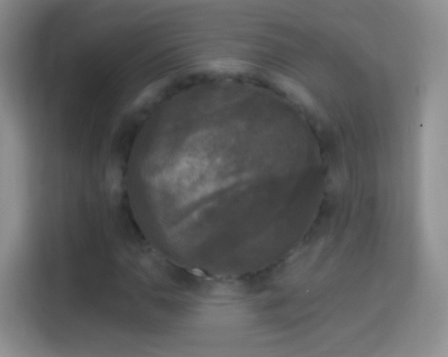 X0000114441110200910231312