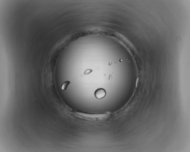 X0000114441111200910231312