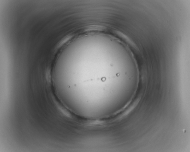 X0000114441113200910231313