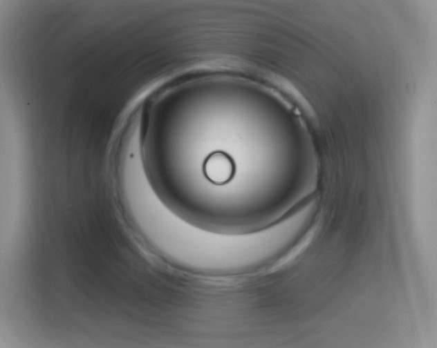 X0000114441114200910231313