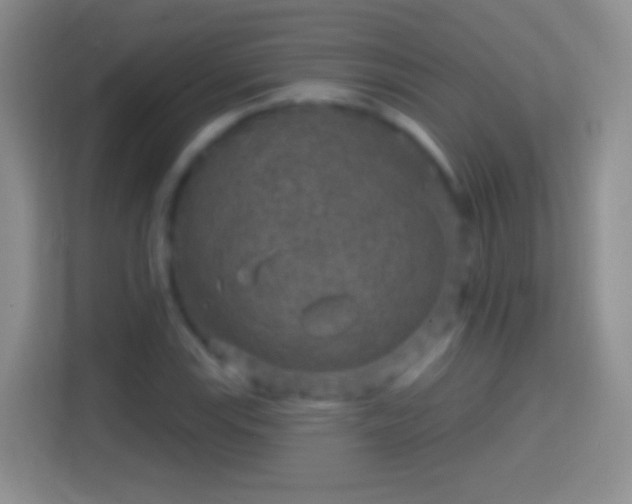 X0000114441115200910231313