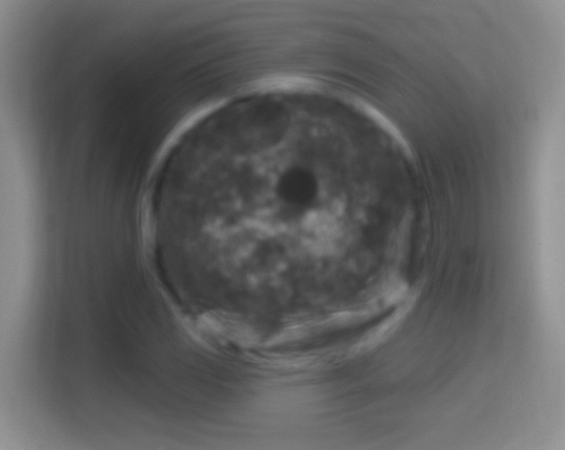 X0000114441117200910231313