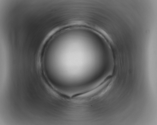 X0000114441118200910231313